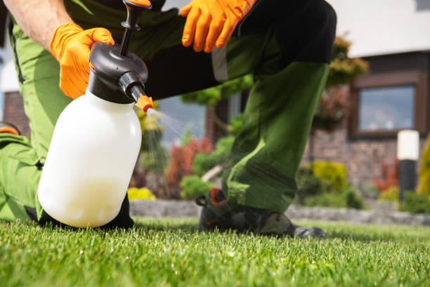 Best Bed Bug Extermination  in Barron, WI